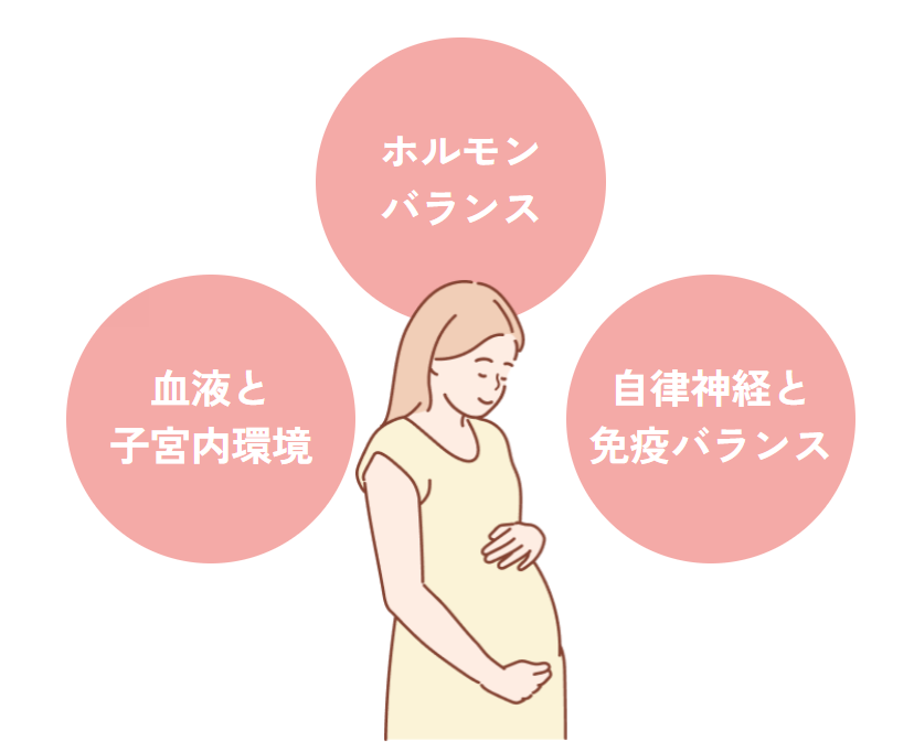 ホルモンバランス・血液と子宮内環境・自律神経と免疫バランス